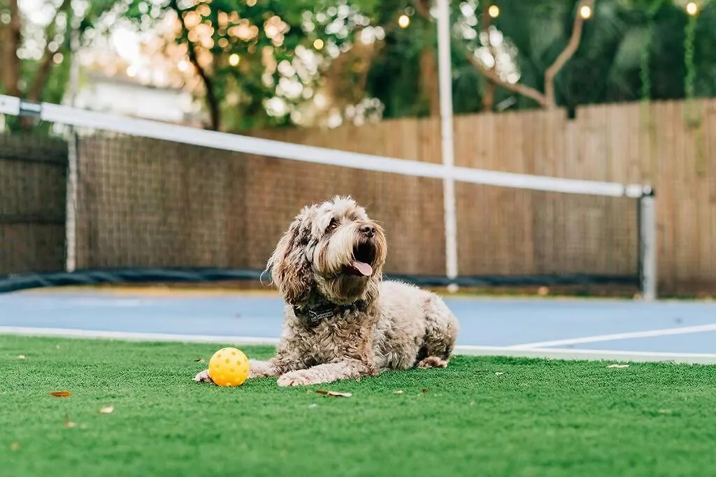 Pickleball And Pups For Families Near Riverwalk Villa Tampa
