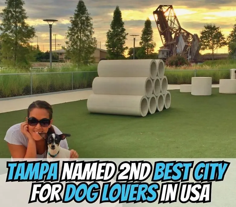 Pickleball And Pups For Families Near Riverwalk Villa Tampa