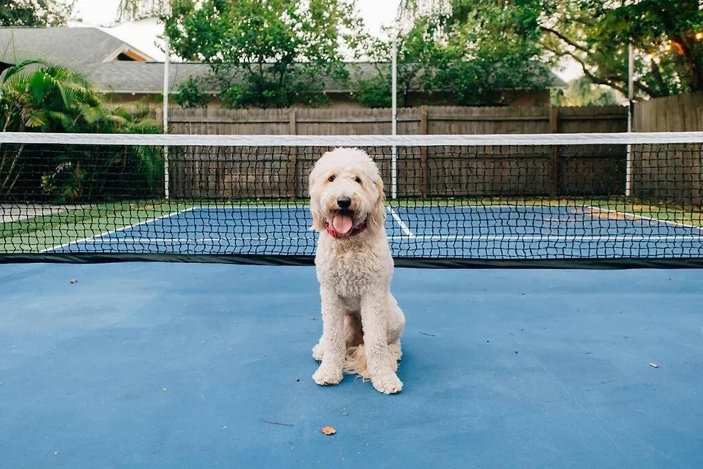 Pickleball And Pups For Families Near Riverwalk Villa Tampa